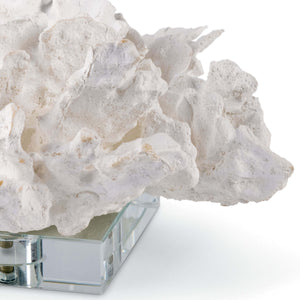 Flower Coral On Crystal Base (White)