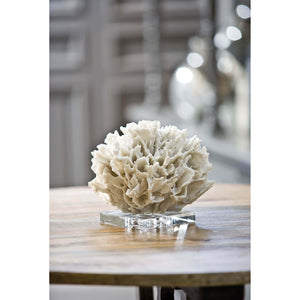 Ribbon Coral (White)