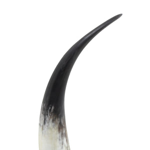 Daylon Horn Large