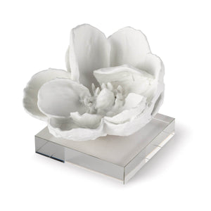 Magnolia Objet (White)