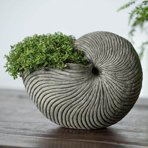 Cast Stone Ammonite Shell Planter - Alpine Stone (14 finishes available)