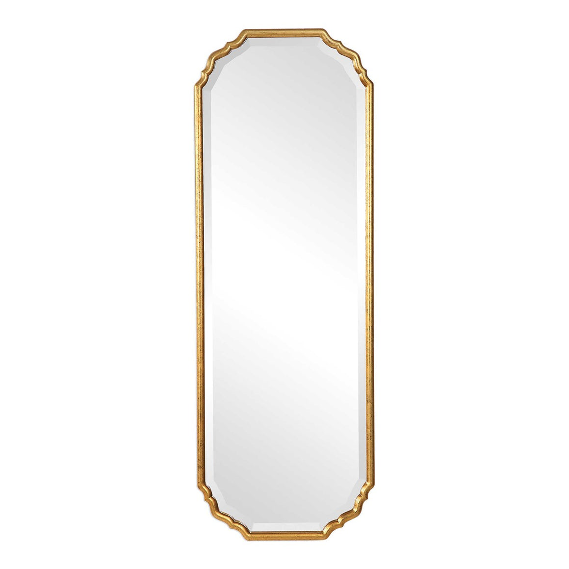 Elegant Curved Mirror - Iron